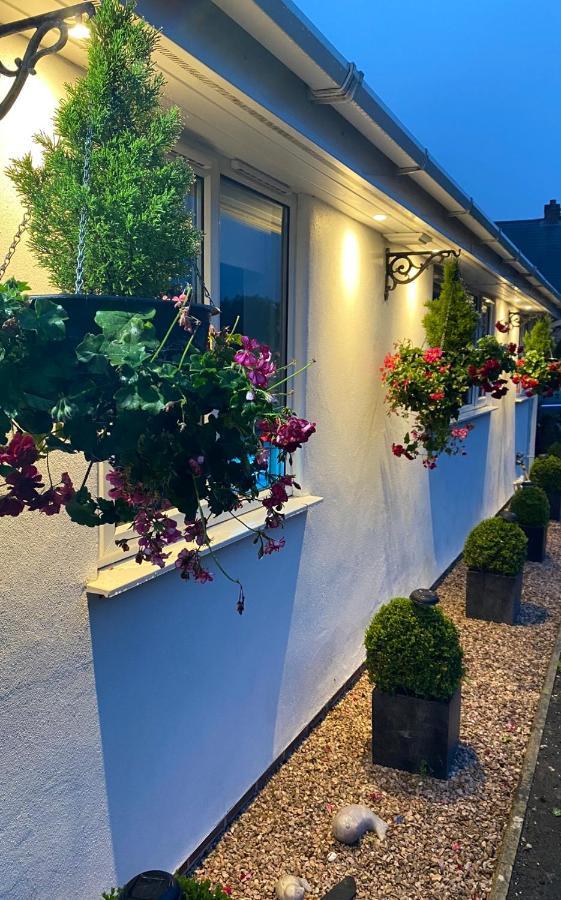Toppesfield House B&B Bude Exterior foto