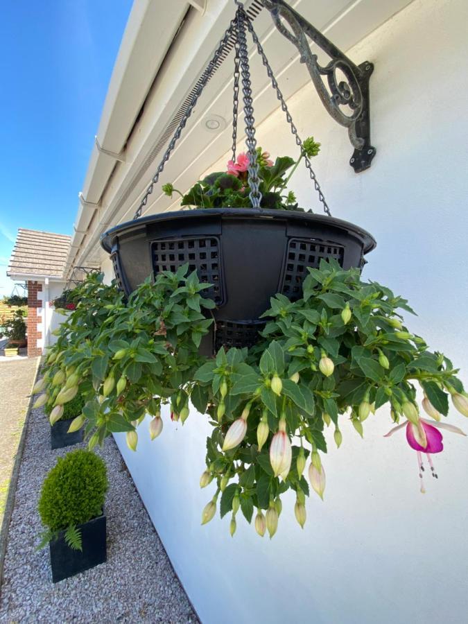 Toppesfield House B&B Bude Exterior foto