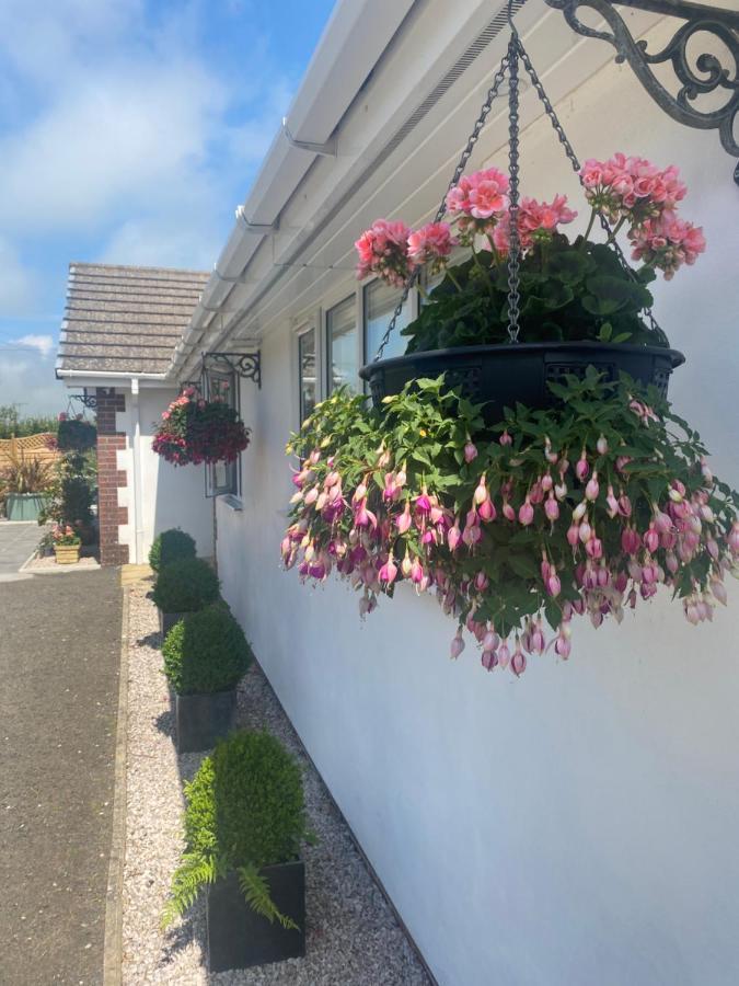 Toppesfield House B&B Bude Exterior foto