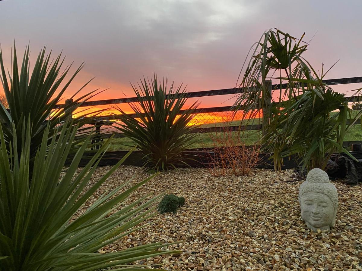 Toppesfield House B&B Bude Exterior foto