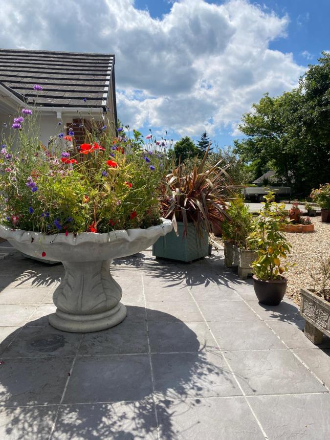 Toppesfield House B&B Bude Exterior foto